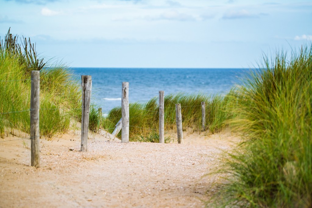 beach dune path